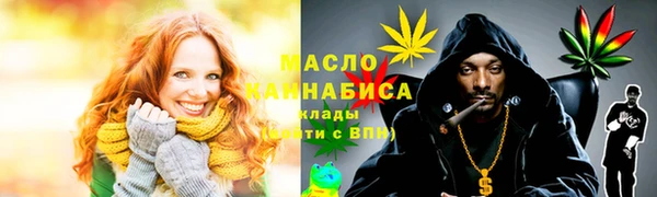 дмт Снежногорск