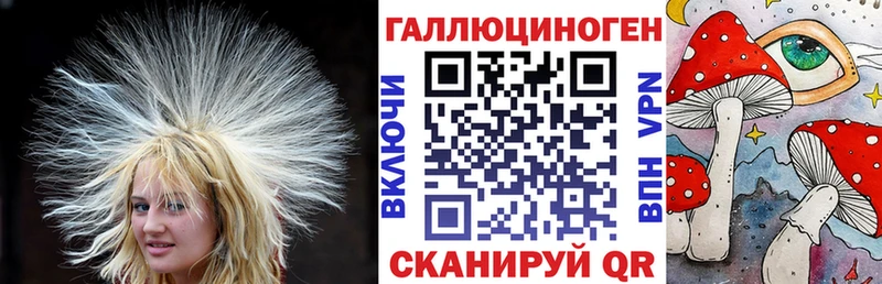 Псилоцибиновые грибы Psilocybe  Сланцы 